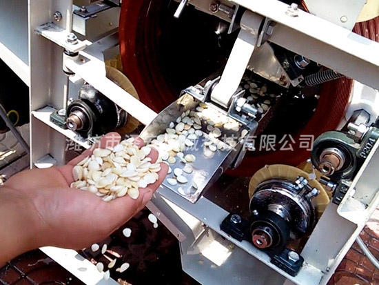 油炸机厂家