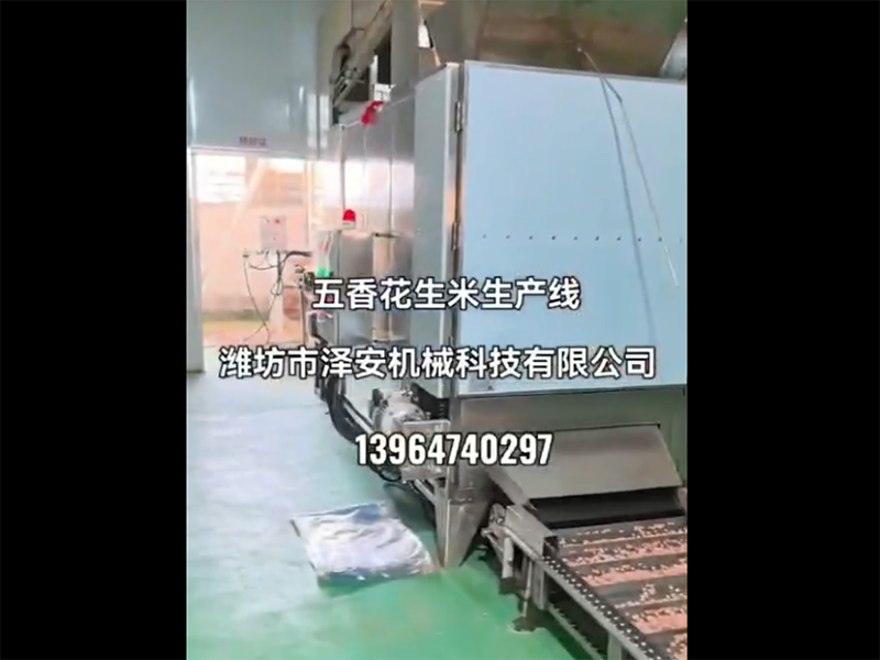 五香花生米生产线视频